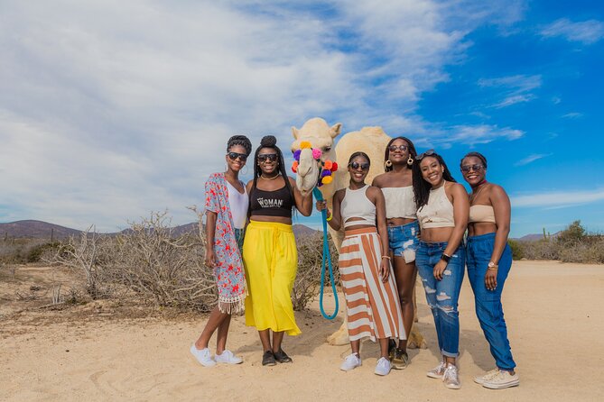 Combo Off Road 4x4 UTV Camel Ride Lunch and Tequila Tasting - Lunch at the ocean front: unlimited buffet done the right way