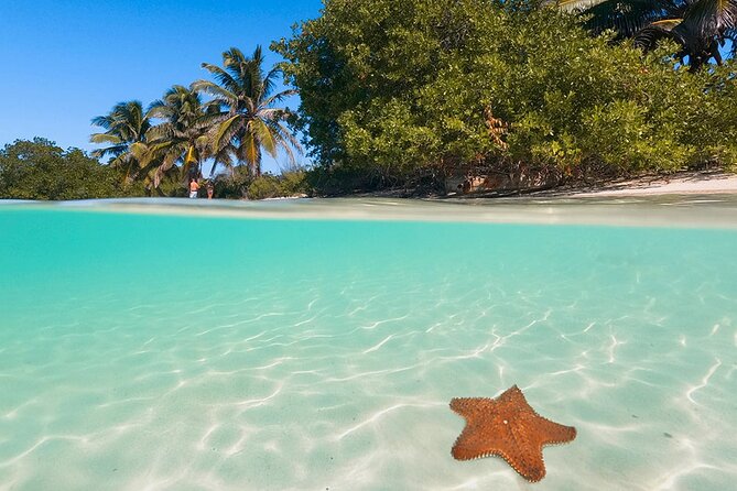 Contoy Island Tour from Cancun and Isla Mujeres with Snorkeling - 3 Hours on Contoy: Guided Walk, Beach Time, and Wildlife Moments