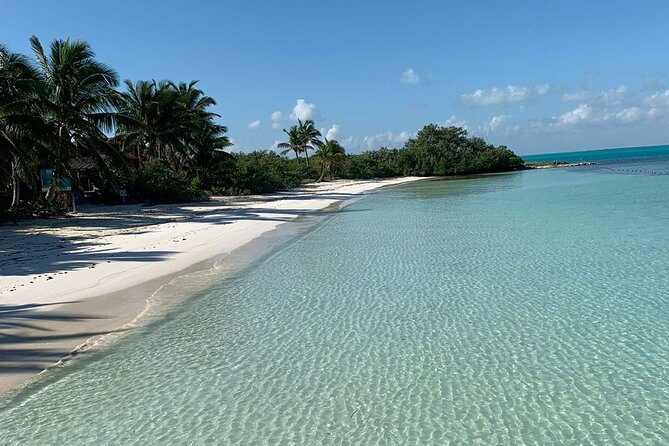 Contoy Island Tour from Cancun and Isla Mujeres with Snorkeling - Snorkeling Near the Island: What’s Included and When It Happens