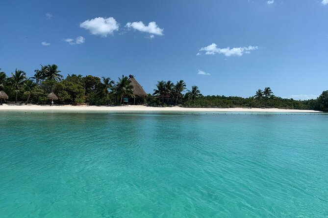 Contoy Island Tour from Cancun and Isla Mujeres with Snorkeling - Price and What You’re Actually Getting for $155.32