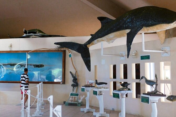 Contoy Island Tour from Cancun and Isla Mujeres with Snorkeling - Should You Book This Contoy Island and Snorkeling Tour?