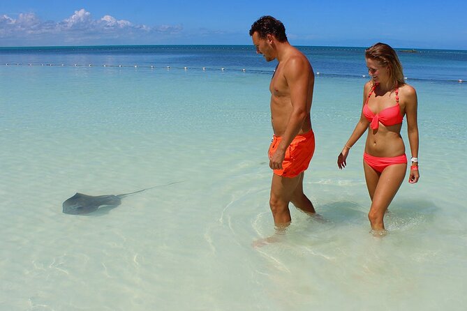 Contoy Island Tour from Cancun and Isla Mujeres with Snorkeling - The Palapa Lunch: Tikinxik, Chicken, and Real Day-Trip Value