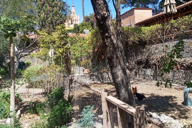 Cook & Dine | Make Authentic Mexican Mole and Salsas in San Miguel de Allende - Mexican Chocolate Water, Wine, and the Dinner-First Mindset
