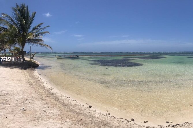 Costa Maya Beach Break All Inclusive From Port - Food and Service: Where the Day Gets Comfortable Fast