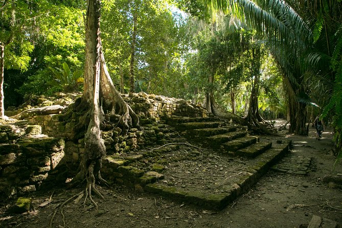 Costa Maya Shore Excursion: Chacchoben Day Trip - Key Highlights You Will Feel in Your Day