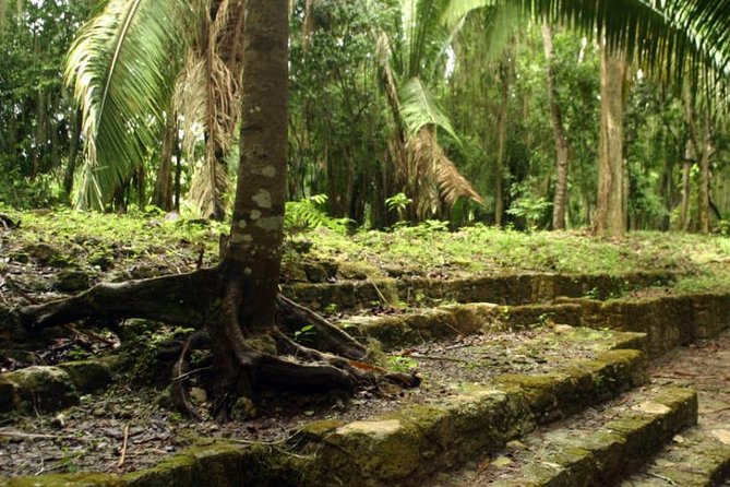 Costa Maya Shore Excursion: Chacchoben Day Trip - The Air-Conditioned Van Ride You Will Appreciate More Than You Think