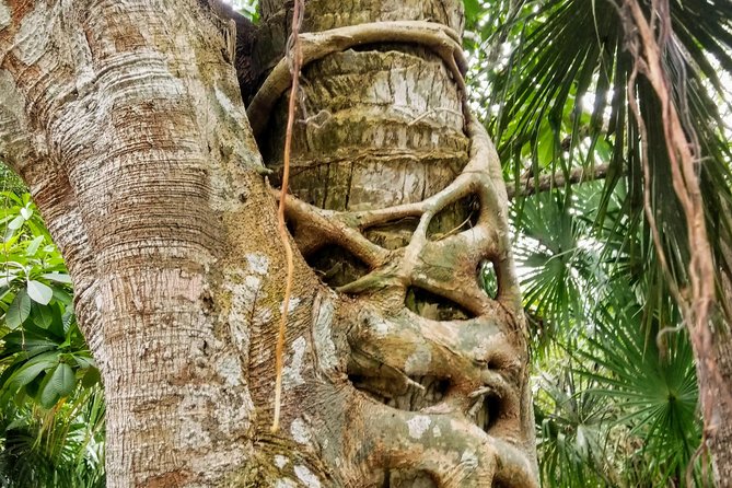 Costa Maya Shore Excursion: Chacchoben Day Trip - How You Spend Your Time Before and After the Ruins