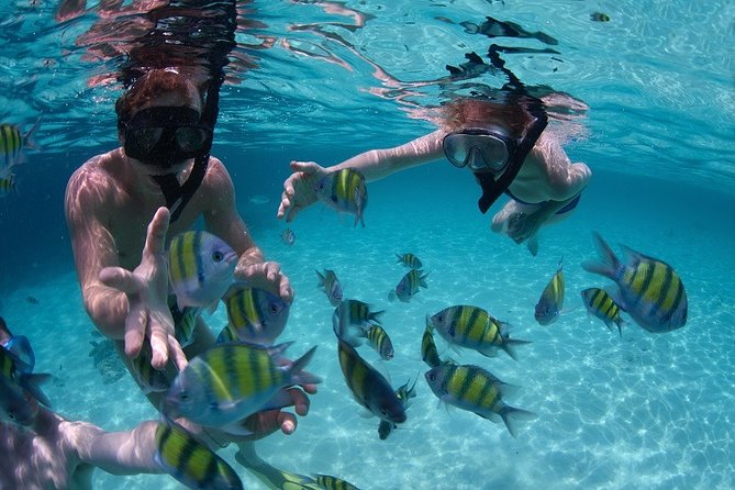 Costa Maya Snorkel Tour - Getting From the Cruise Port to Yaya Beach Club Without a Headache