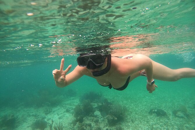 Costa Maya, snorkeling on the reef with fish, looking for turtles - What You Can Expect to See: Fish, Reefs, Stingrays, and Sometimes Rays