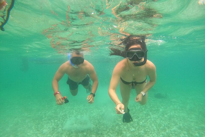 Costa Maya, snorkeling on the reef with fish, looking for turtles - Beach Club Included: Turning a Short Snorkel Into a Full Stop