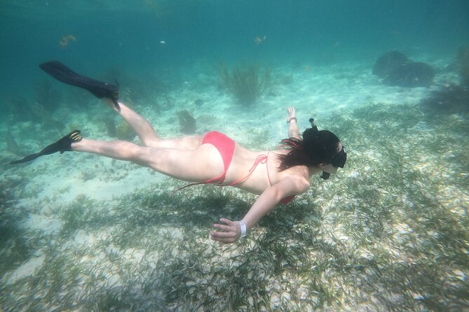 Costa Maya, snorkeling on the reef with fish, looking for turtles - Meeting at La Diosa del Mar, Then Heading to the Water