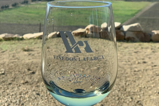 Couple Tour - Monte Xanic Bodega Vinicola: classic wines, plan the reservation
