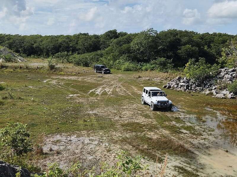 Cozumel: 5-Hour Private Caves and Ruins Tour with Lunch - Pickup points, private ride time, and the cooler you will appreciate