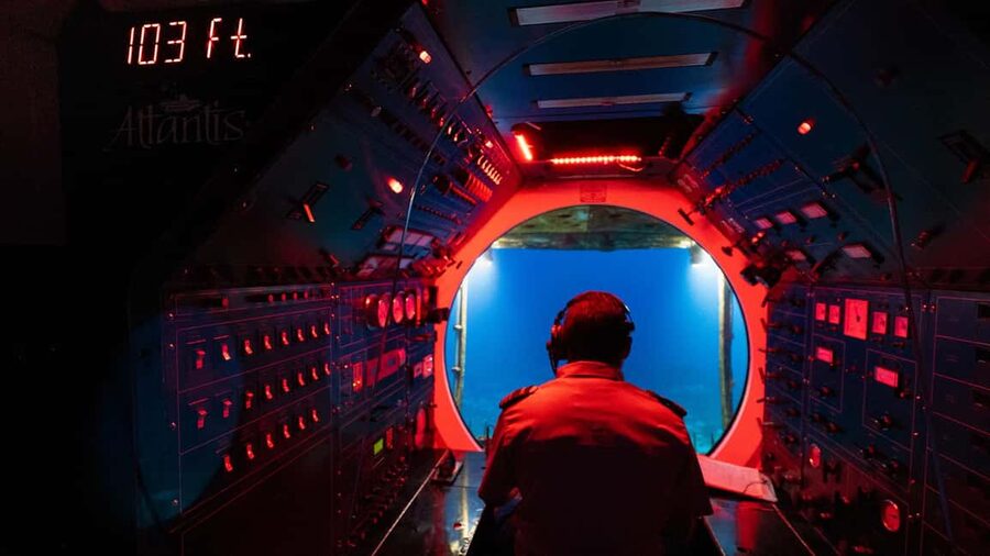 Cozumel: Atlantis Submarine Adventure - Marine life you can actually name (and why that matters)