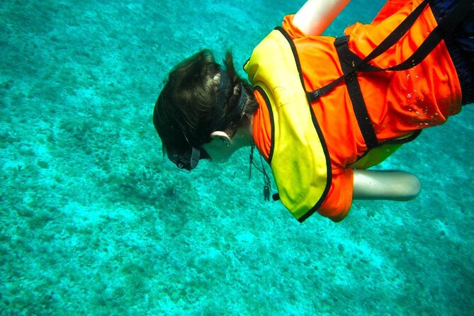 Cozumel Buggy Tour: Snorkeling , Otoch Mayan Experience & Lunch - Otoch Mayan Experience: tequila, ceremony, chocolate, and dancing