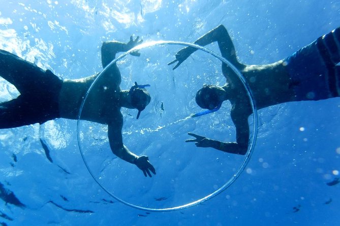 Cozumel Catamaran Snorkeling Tour & lunch® - A full-day flow: reefs, starfish, sandbar, then Playa Mia