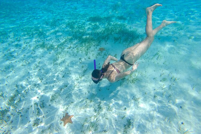 Cozumel Catamaran Snorkeling Tour & lunch® - Playa Mia Grand Beach Park lunch: Yucatecan comfort food in a beach setting