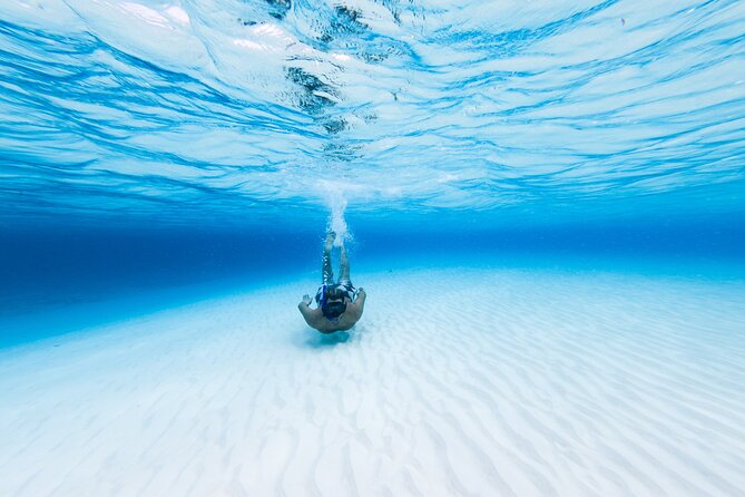 Cozumel Catamaran Snorkeling Tour & lunch® - Marine park entry fee and taxes: budget for the extras