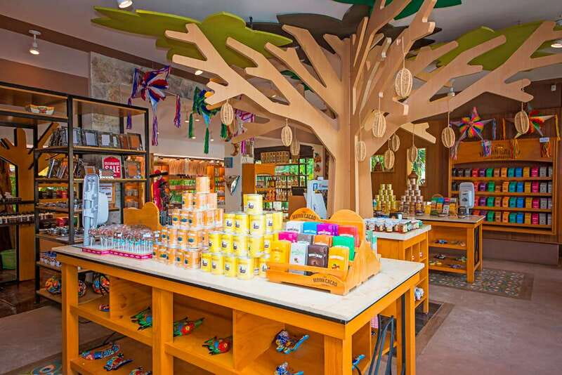 Cozumel: Chocolate Workshop at The Mayan Cacao Company - Tasting 13 Chocolates: How to Get More Than Sugar Out of It