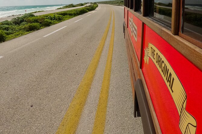 Cozumel City Tour By Trolley - Guide and Driver Quality: The Real Difference Maker