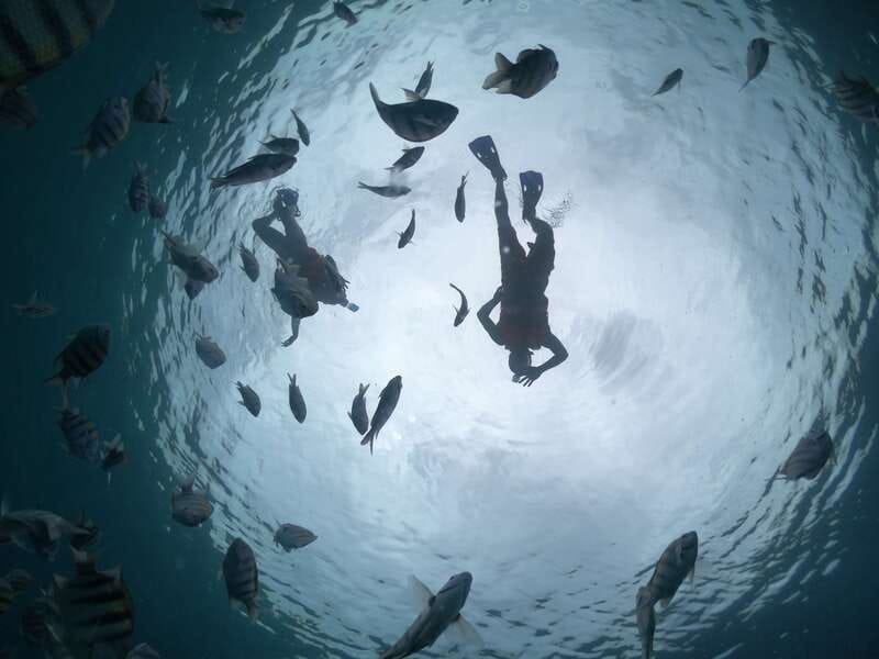 Cozumel: Clear Boat Ride and Snorkeling Trip - Who This Trip Fits Best (and Who Should Skip It)