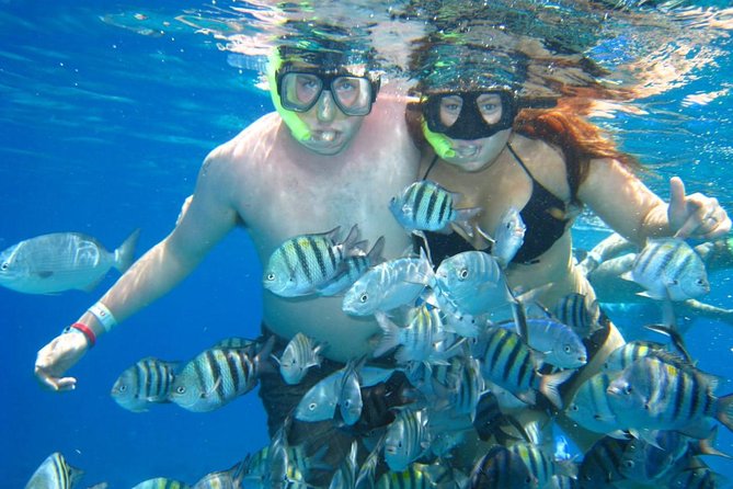 Cozumel Coral Reef Snorkeling by Glass Bottom Boat with Guide - Glass-bottom viewing, snorkeling gear, and staying comfortable in 2 hours