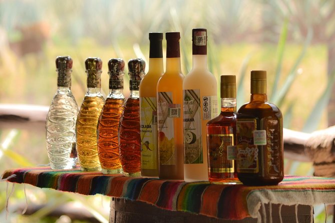 Cozumel Cultural Jeep Tour with Mayan Village and Mexican Lunch - Price and value, is $101.72 really fair?
