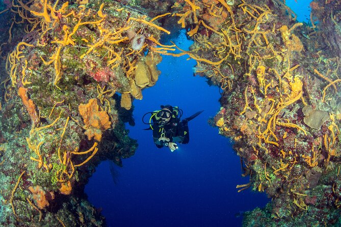 Cozumel Dive Package - Certified Divers from the Riviera Maya (4 dives) - Safety and weather: the part that never looks good on a brochure