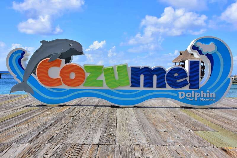 Cozumel: Dolphin Royal Connection and Manatee Interaction - Key points before you book