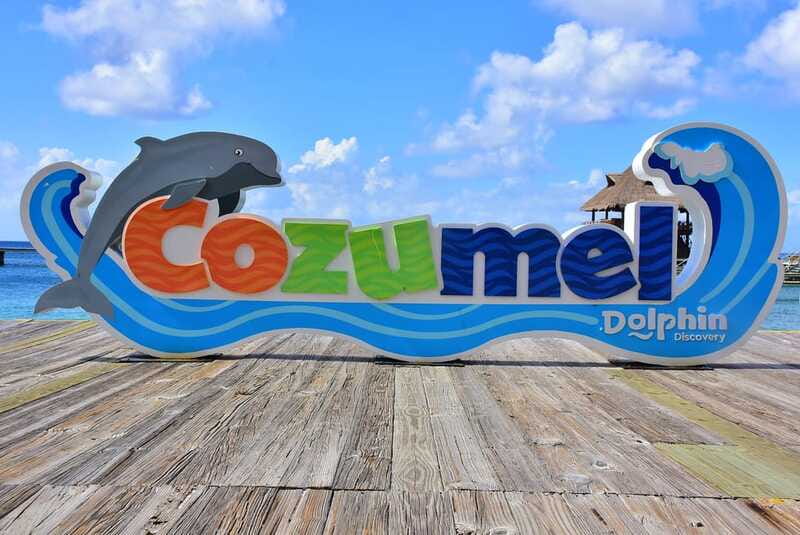 Cozumel: Dolphin Royal Connection and Manatee Interaction - Group size and instructor setup, how that changes the experience