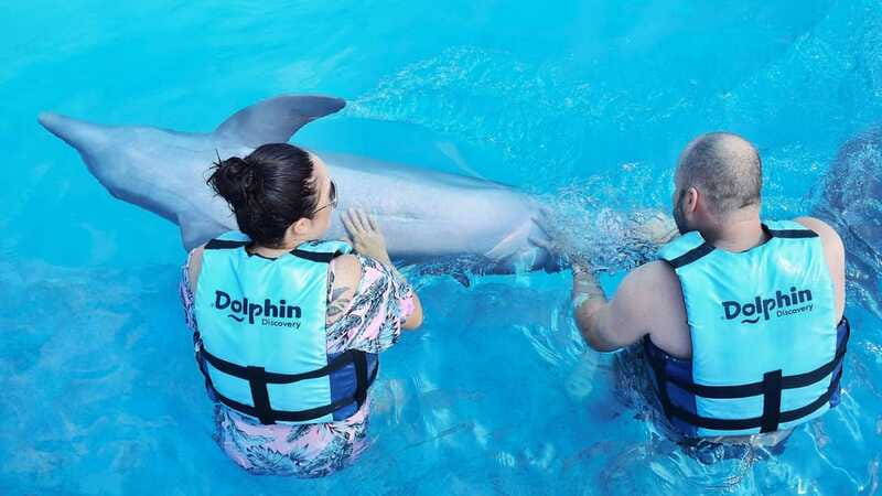 Cozumel: Dolphin Royal Connection and Manatee Interaction - How to plan your Cozumel day around this 50-minute program