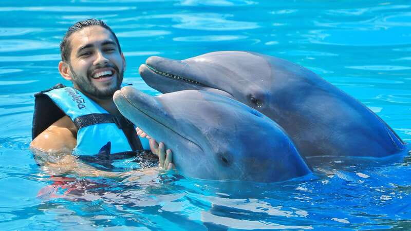 Cozumel: Dolphin Royal Connection and Manatee Interaction - Royal Swim and manatees in Cozumel, what you’re really paying for