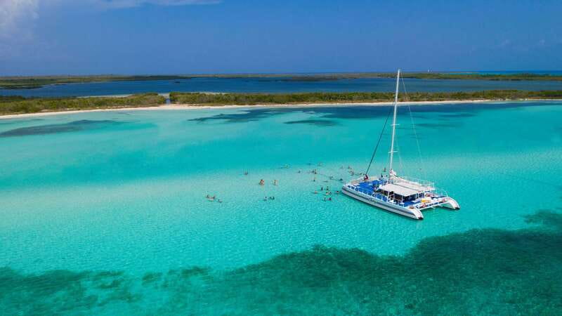 Cozumel: El Cielo, Palancar Reef, and Beach Party with Food - Key Highlights You’ll Actually Feel