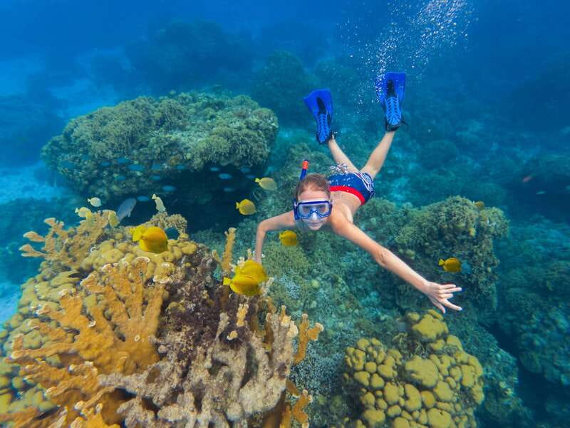 Cozumel: El Cielo, Palancar Reef, and Beach Party with Food - Stop One: Palancar Reef Snorkeling With Real-Guided Support