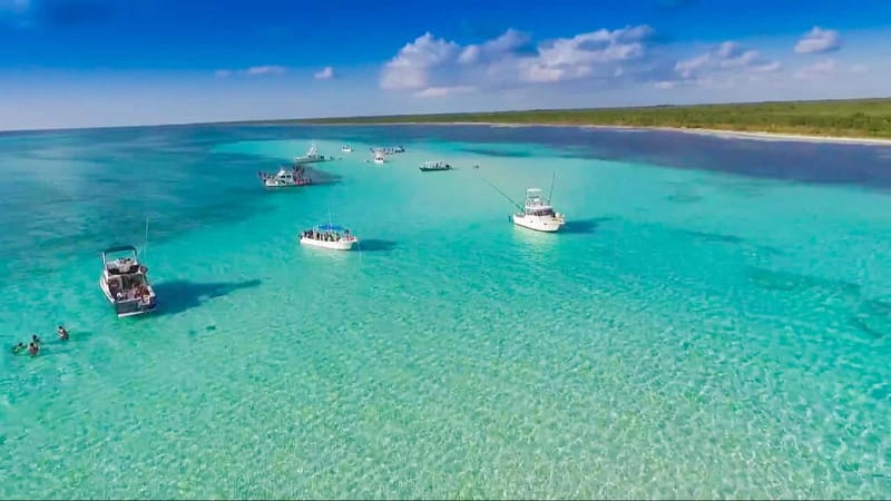 Cozumel: El Cielo & Palancar Snorkel with Open Bar & Ceviche - Key Things You Can Look Forward To