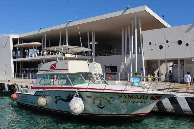 Cozumel: El Cielo & Palancar Snorkel with Open Bar & Ceviche - Entering El Cielo and Palancar Reef: What Makes This Combo Work