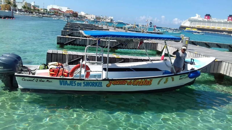 Cozumel: El Cielo & Palancar Snorkel with Open Bar & Ceviche - The Palancar Reef Leg: Corals and Marine Life You Actually Hope to See