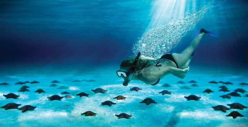 Cozumel: El Cielo & Palancar Snorkel with Open Bar & Ceviche - Safety Rules That Matter (And Why They’re Non-Negotiable)