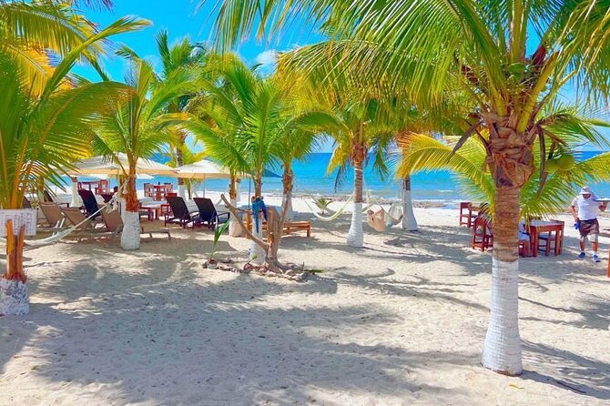 Cozumel Jeep Adventure Natural Cenote & Mayan Experience OTOCH - Playa Publica San Martin: The Ceviche and Sea-View Reset
