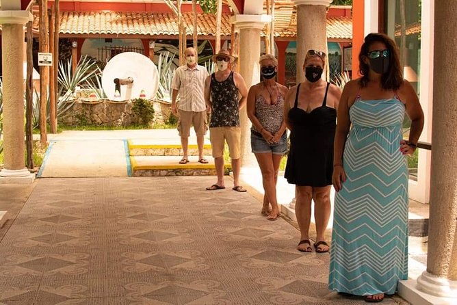 Cozumel Jeep Adventure to Jade Caverns with Lunch and Snorkel - Playa Chen Rio and Ancho the crocodile friend