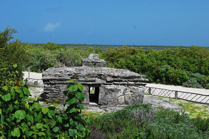 Cozumel Jeep and Snorkel Adventure with Lunch at Punta Sur Park - FAQ