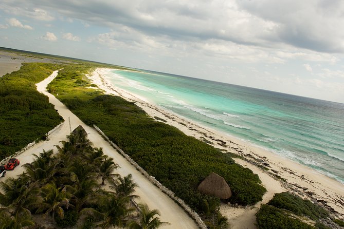 Cozumel Jeep and Snorkel Adventure with Lunch at Punta Sur Park - Guided snorkeling in a protected bay: turtles, fish, and how to handle currents