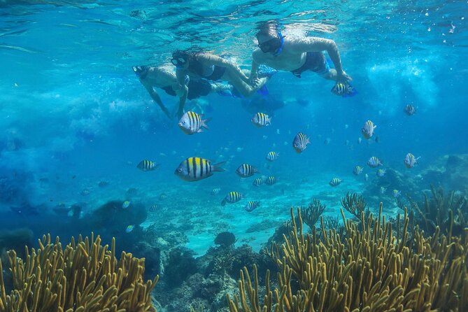Cozumel Luxury Sailing & Snorkeling with Lunch and Open Bar Onboard - How Cozumel Free Time Works (And How to Use It)