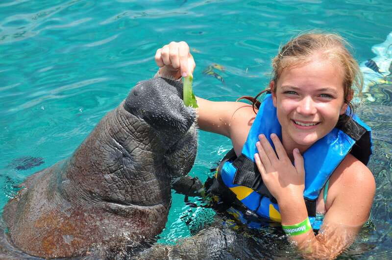Cozumel: Manatee Encounter, Chankanaab Admission and Buffet - Choosing Chankanaab after the encounter: the value of the included park admission