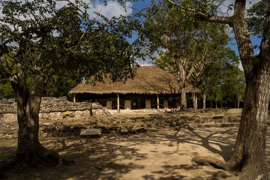 Cozumel: Mayan Ruins Guided Tour with Snorkeling & Lunch - Price and Extra Costs: Entrance Fees, Lockers, and Water