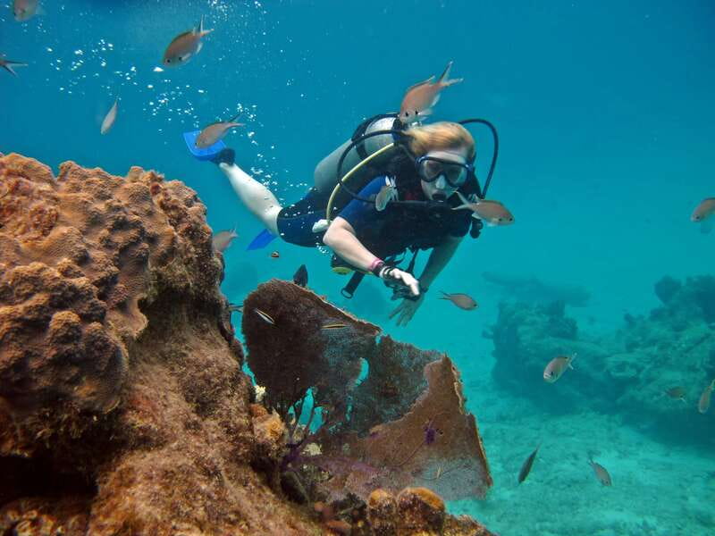 Cozumel: One Tank Scuba Dive and Full Chankanaab Park Access - Chankanaab Park Lets You Turn Scuba Training Into a Full Beach Day