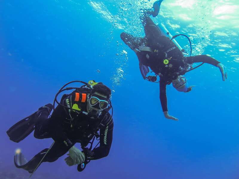 Cozumel: One Tank Scuba Dive and Full Chankanaab Park Access - Your One Tank Scuba Session in Arrecifes de Cozumel National Park