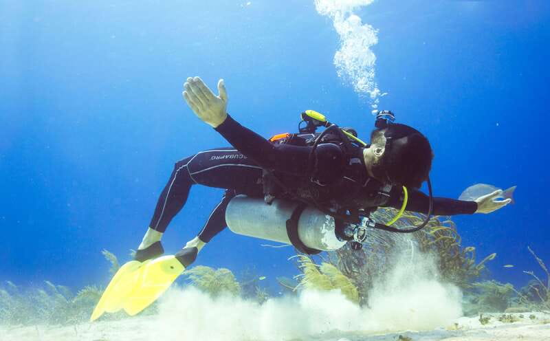 Cozumel: One Tank Scuba Dive and Full Chankanaab Park Access - Where You Start, What You Should Bring, and How It Usually Flows