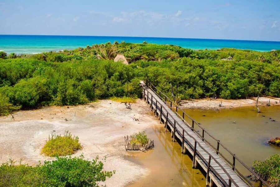 Cozumel: Private Buggy Tour to Punta Sur Park All Inclusive - Celarain Lighthouse access: the payoff for the ride