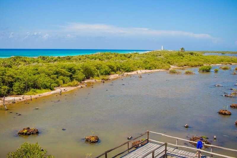 Cozumel: Private Buggy Tour to Punta Sur Park All Inclusive - Pickup, driving, and the buggy reality check